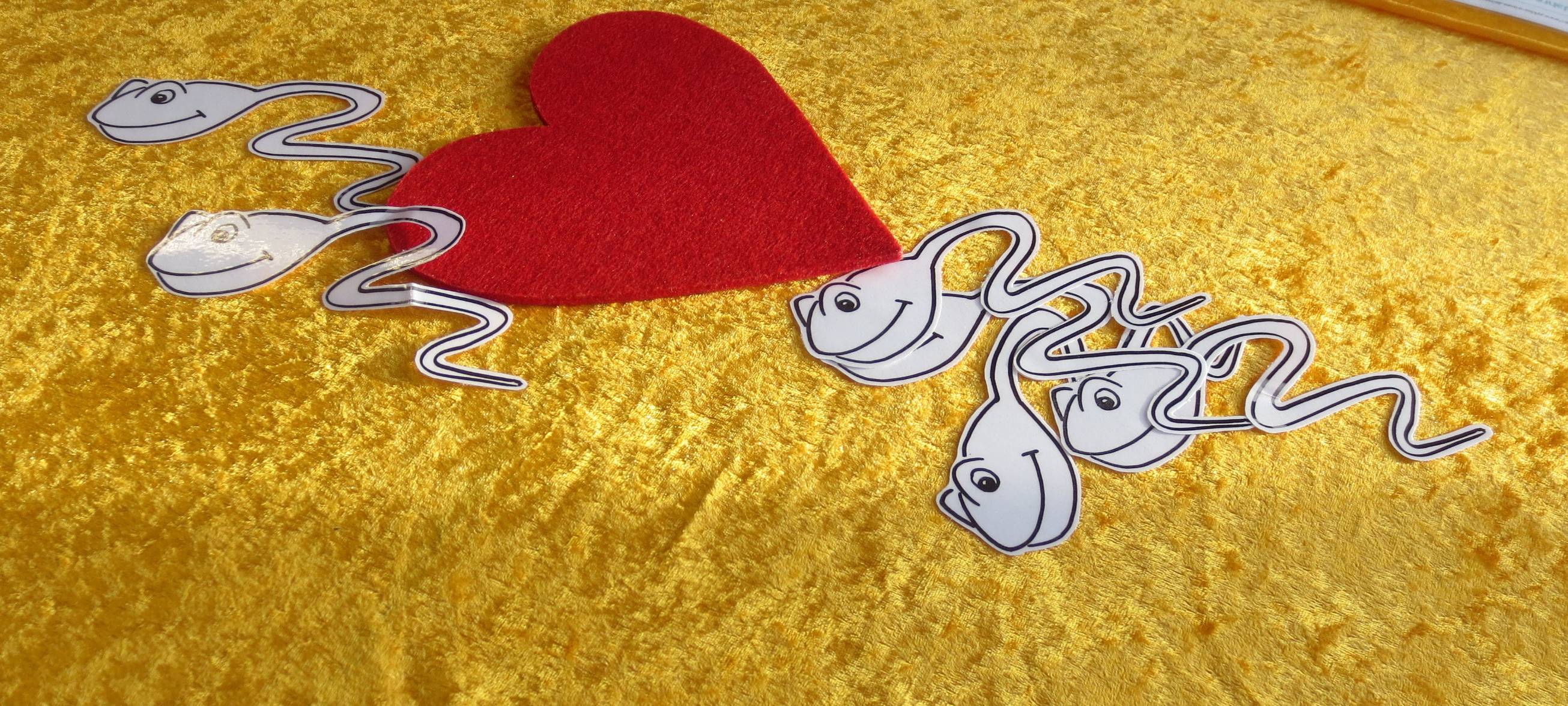 Sexualpädagogische interaktive Ausstellung an Solinger Schule