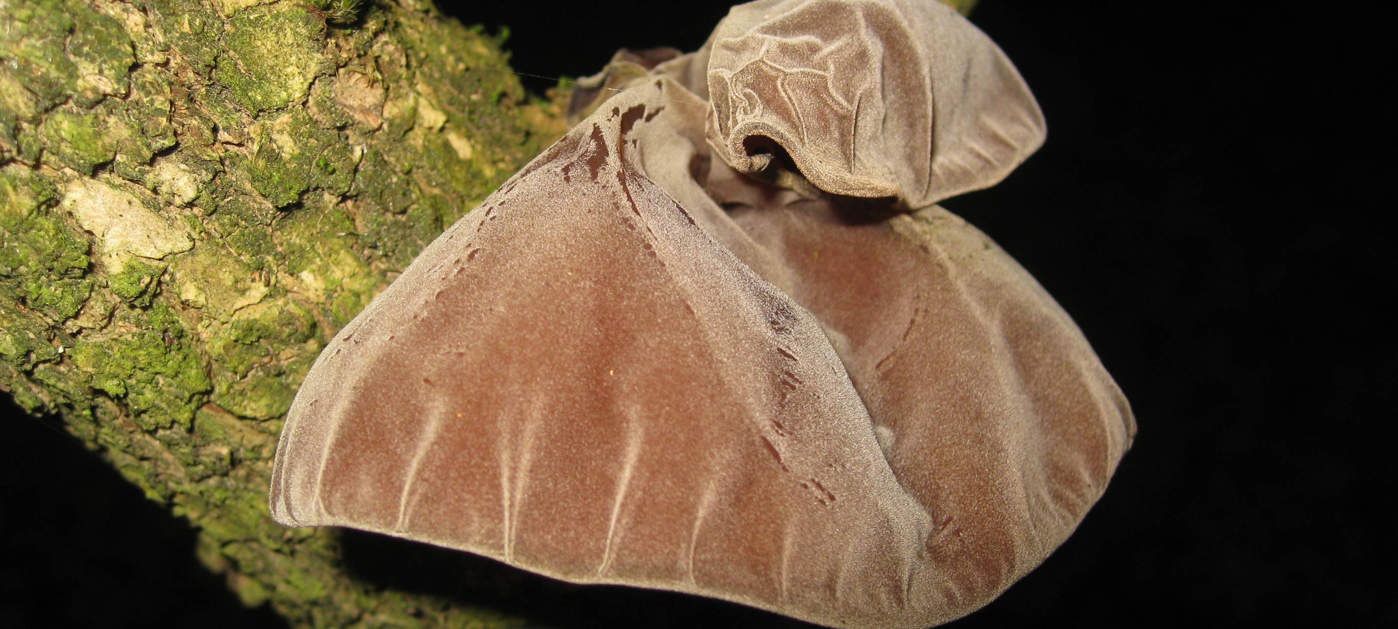 Tipps für Montag, den 23. Januar