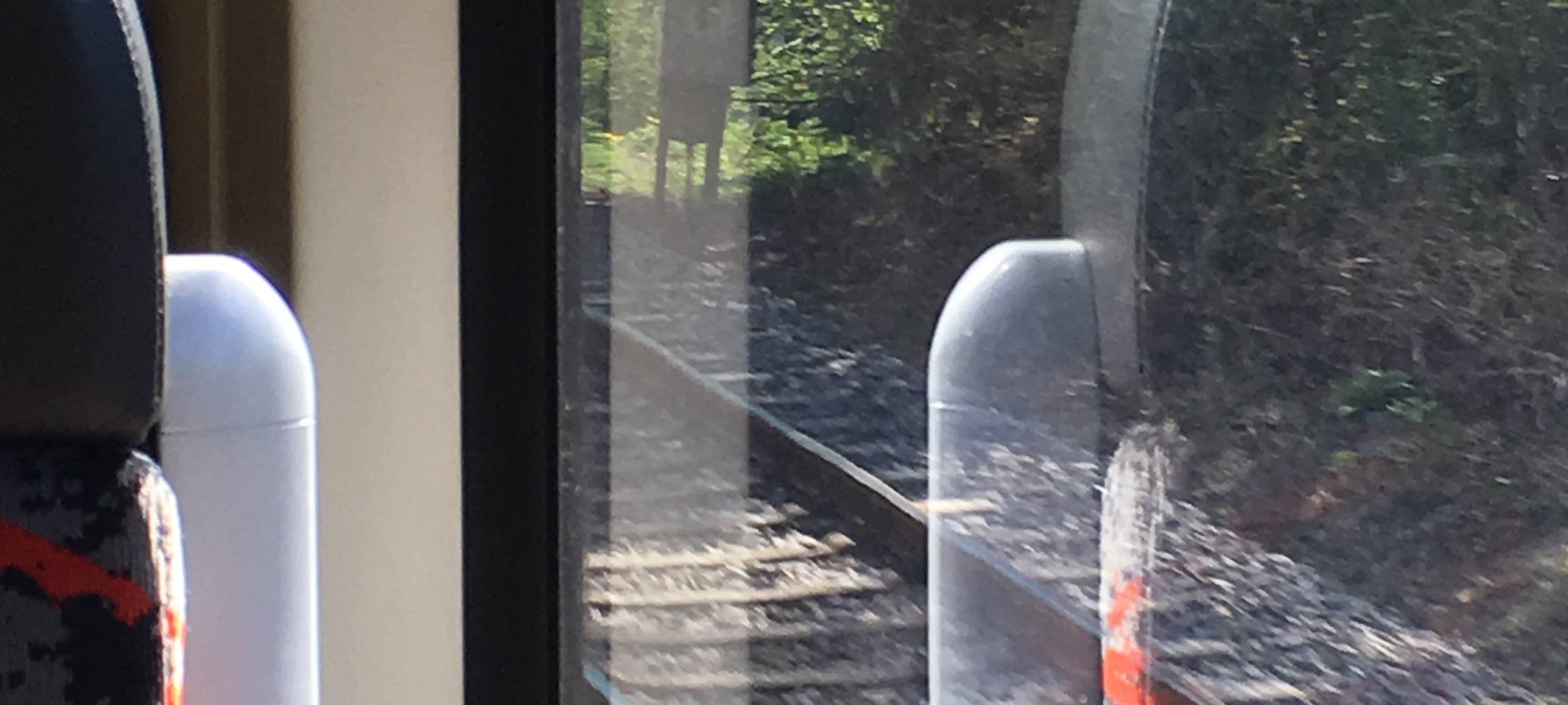 Wildunfall sorgte für Zugausfälle und Verspätungen