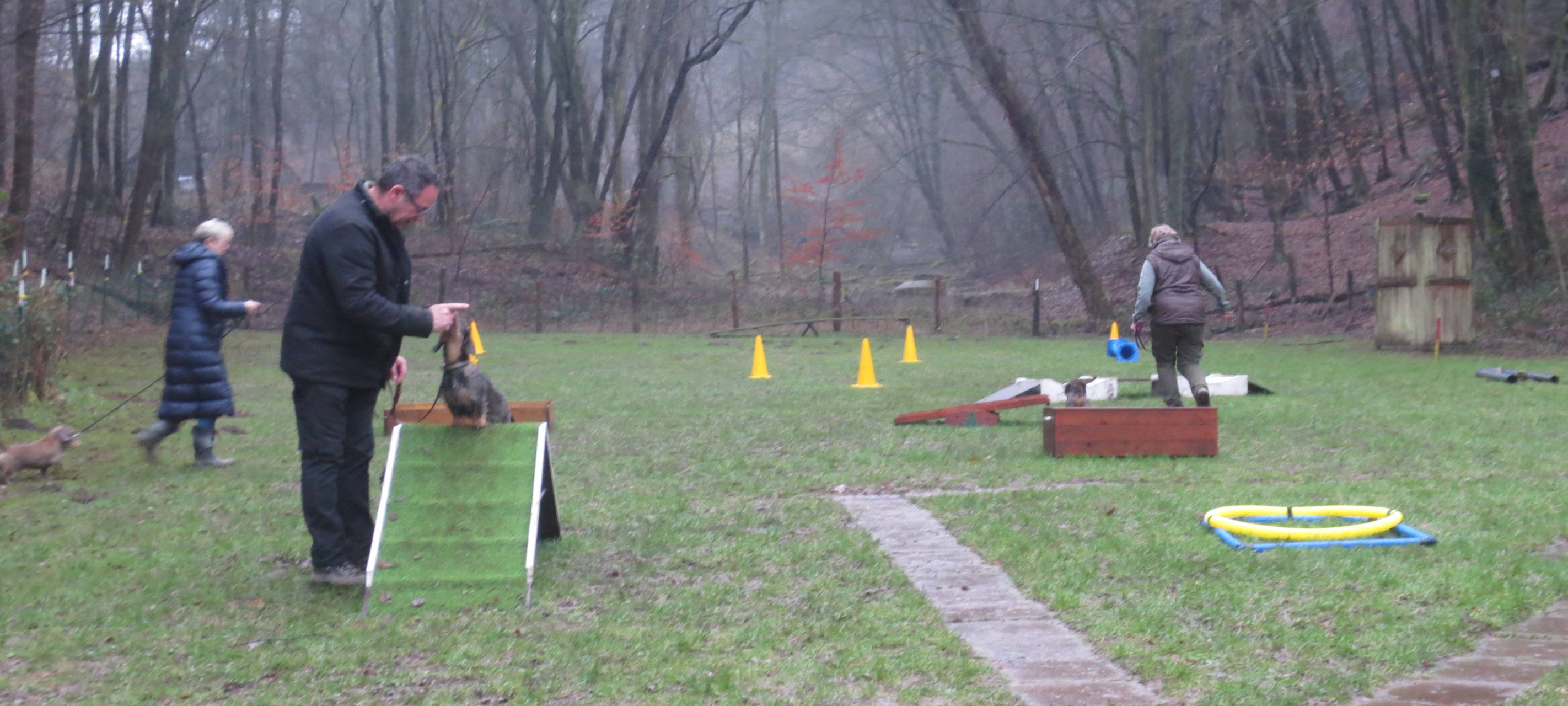 Verein der Woche: Dackelclub Cronenberg