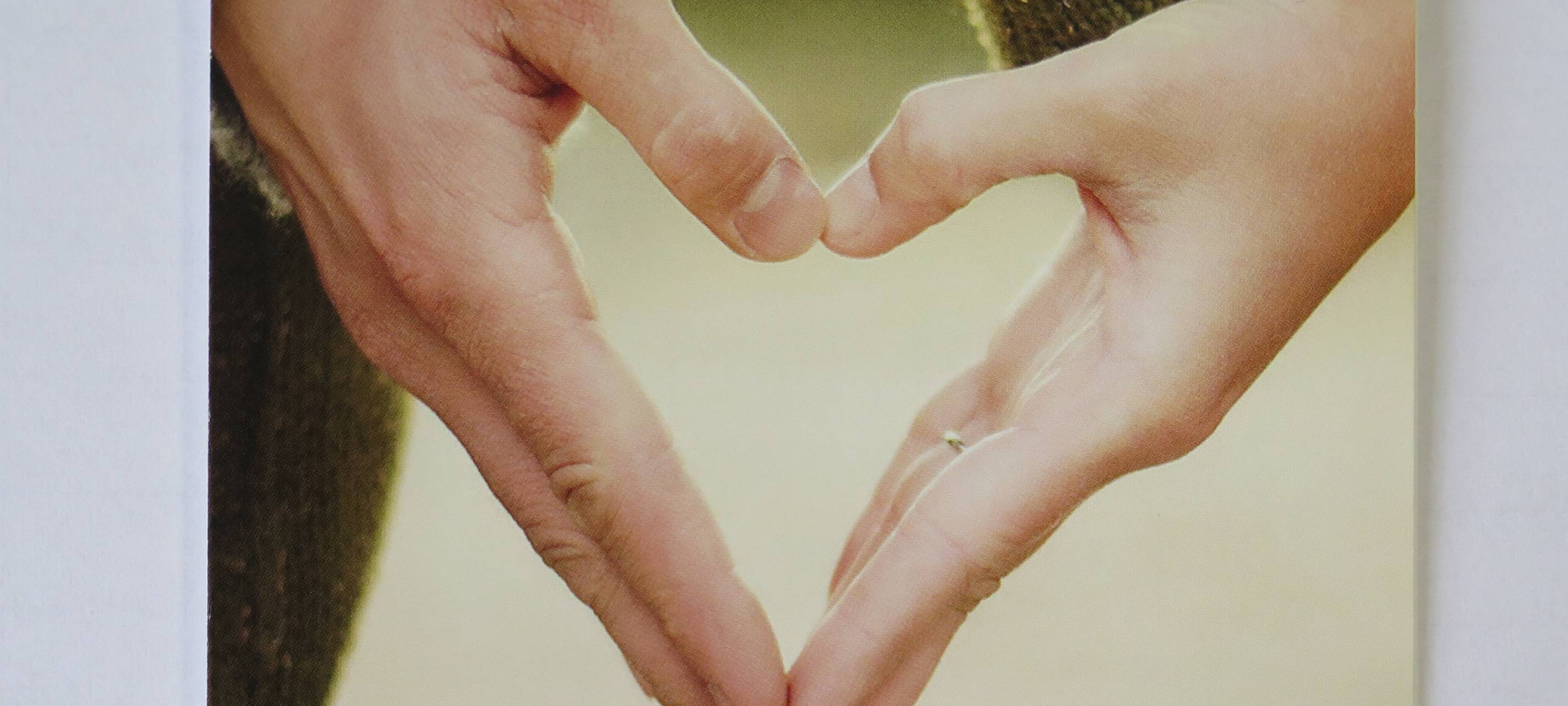 Bessere Beziehung durch Online-Paarberatung?