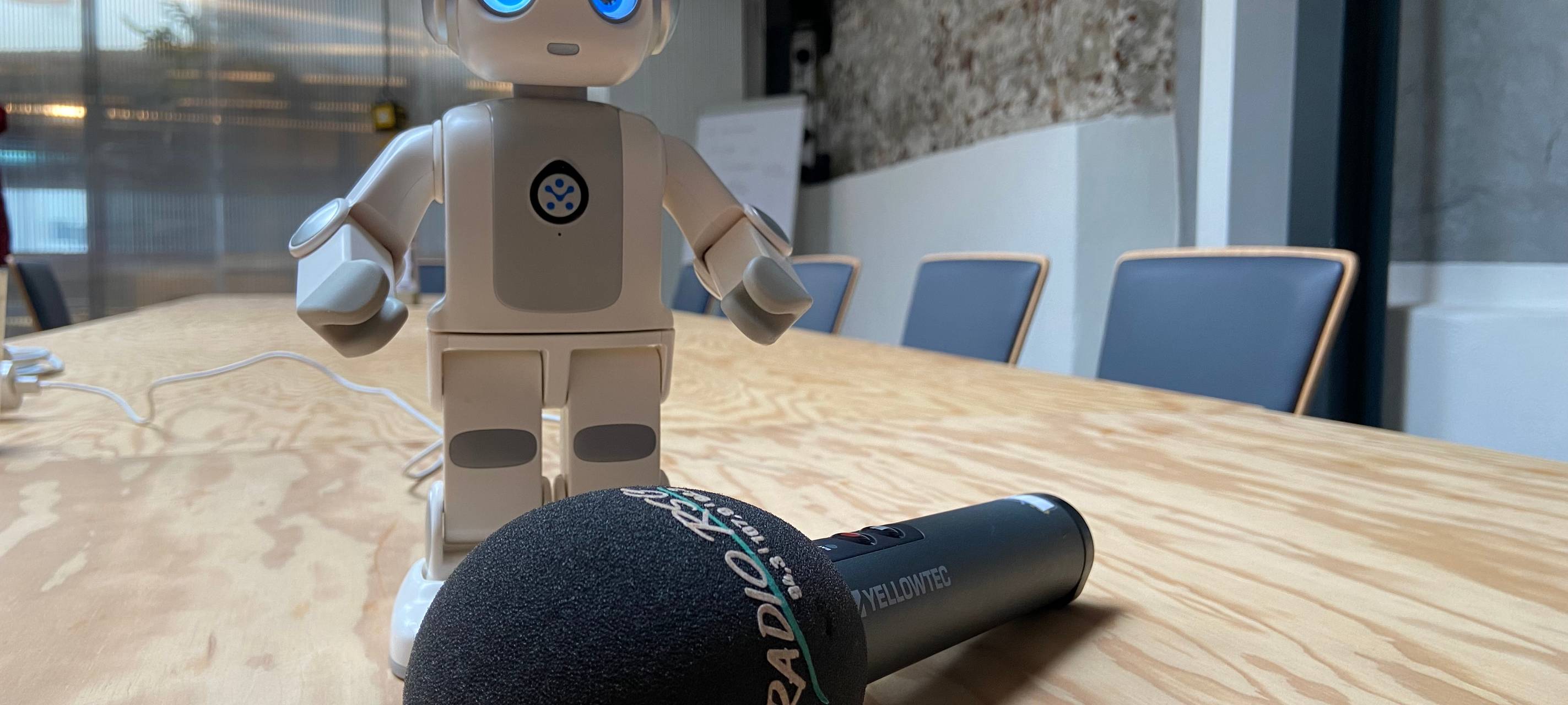 Roboter - Was können die kleinen und großen Alltagshelfer?
