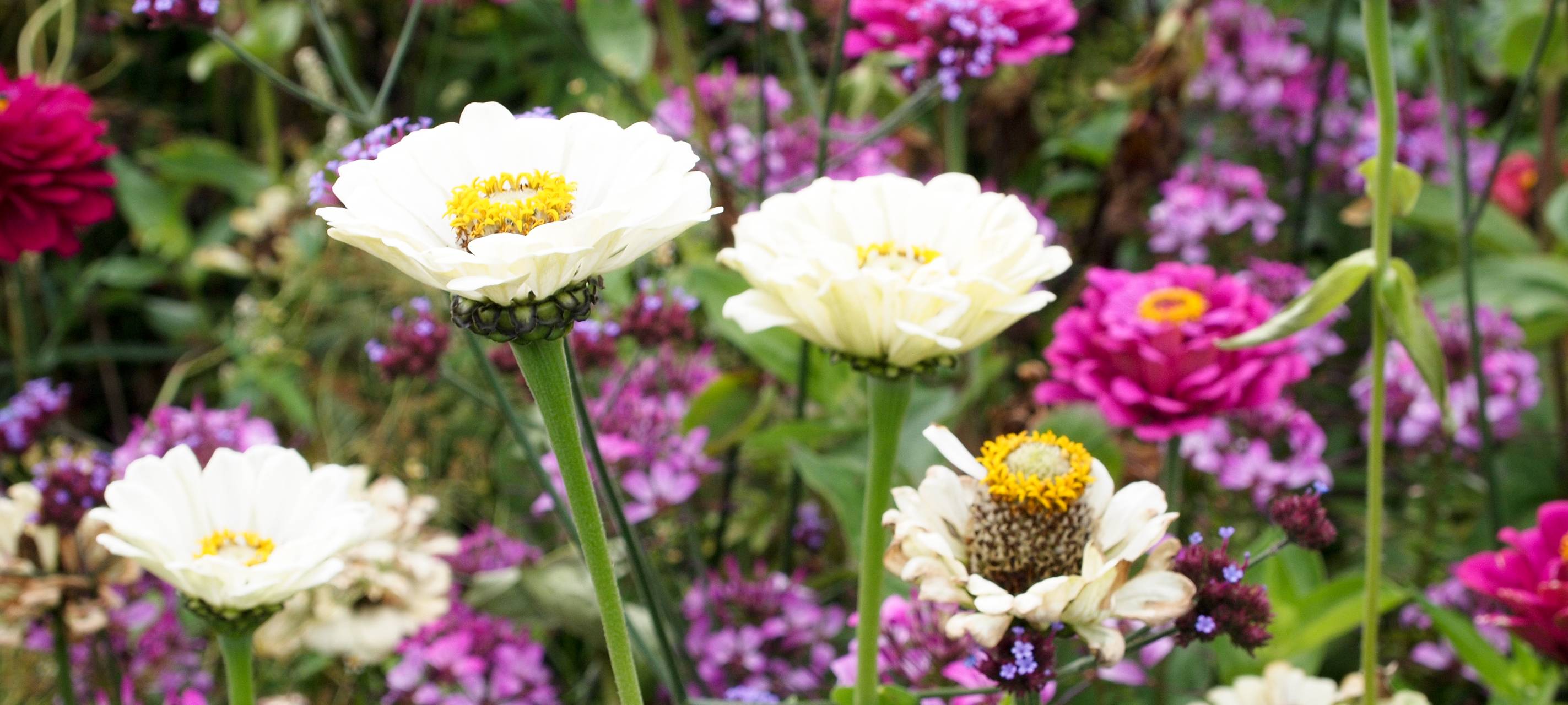 In Remscheid sollen wieder Flächen entsiegelt werden