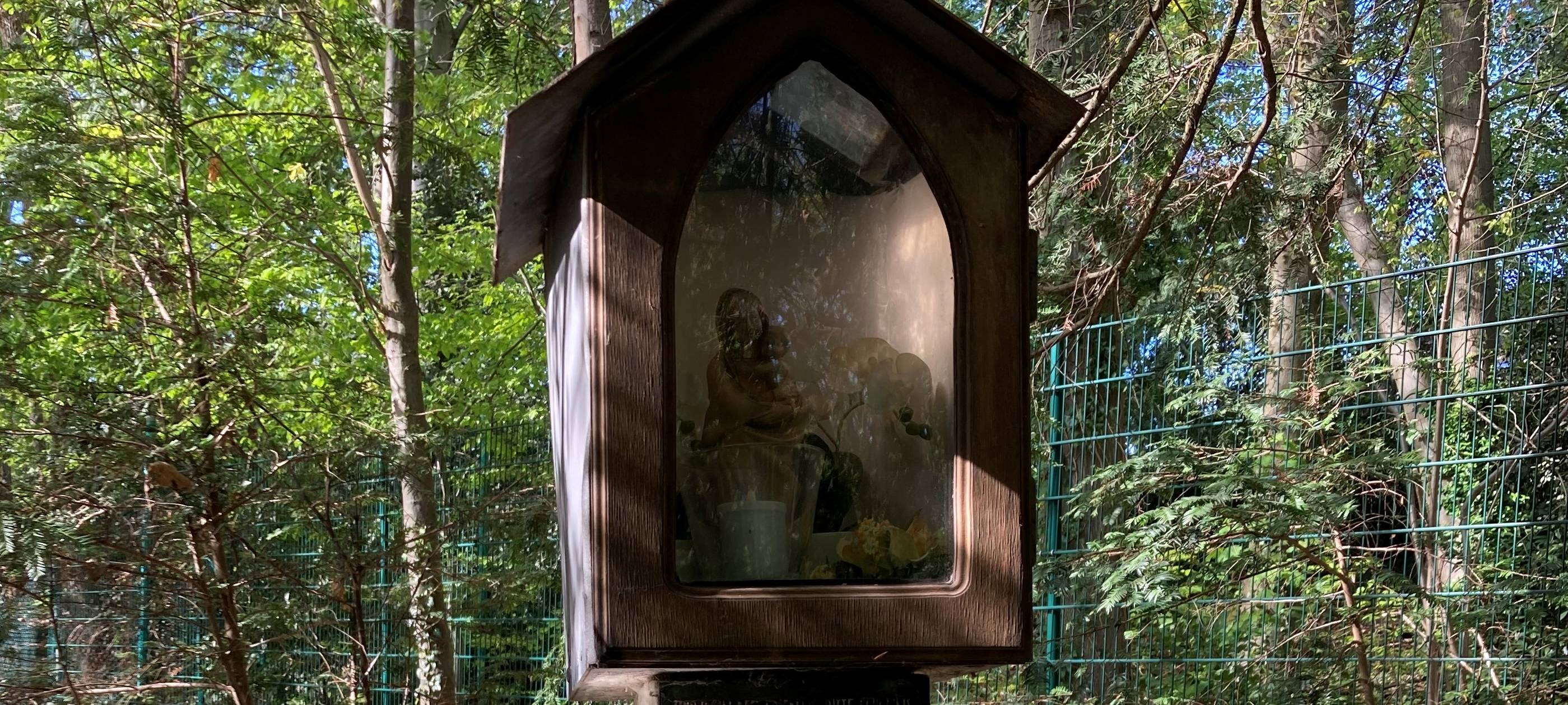 Bilderstock im Hackhauser Wald