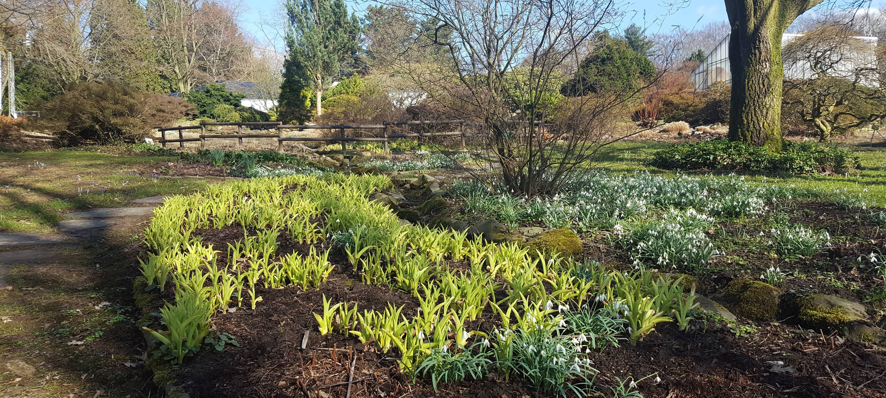 Krötenwanderung startet