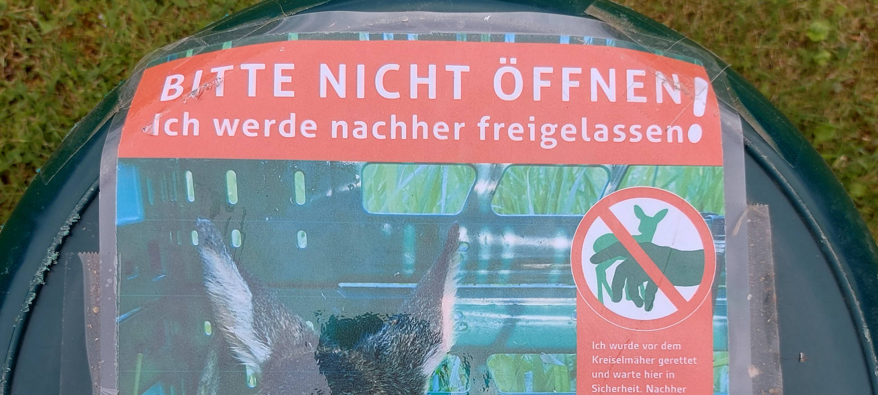 Rehkitze in Solingen und Remscheid gefährdet