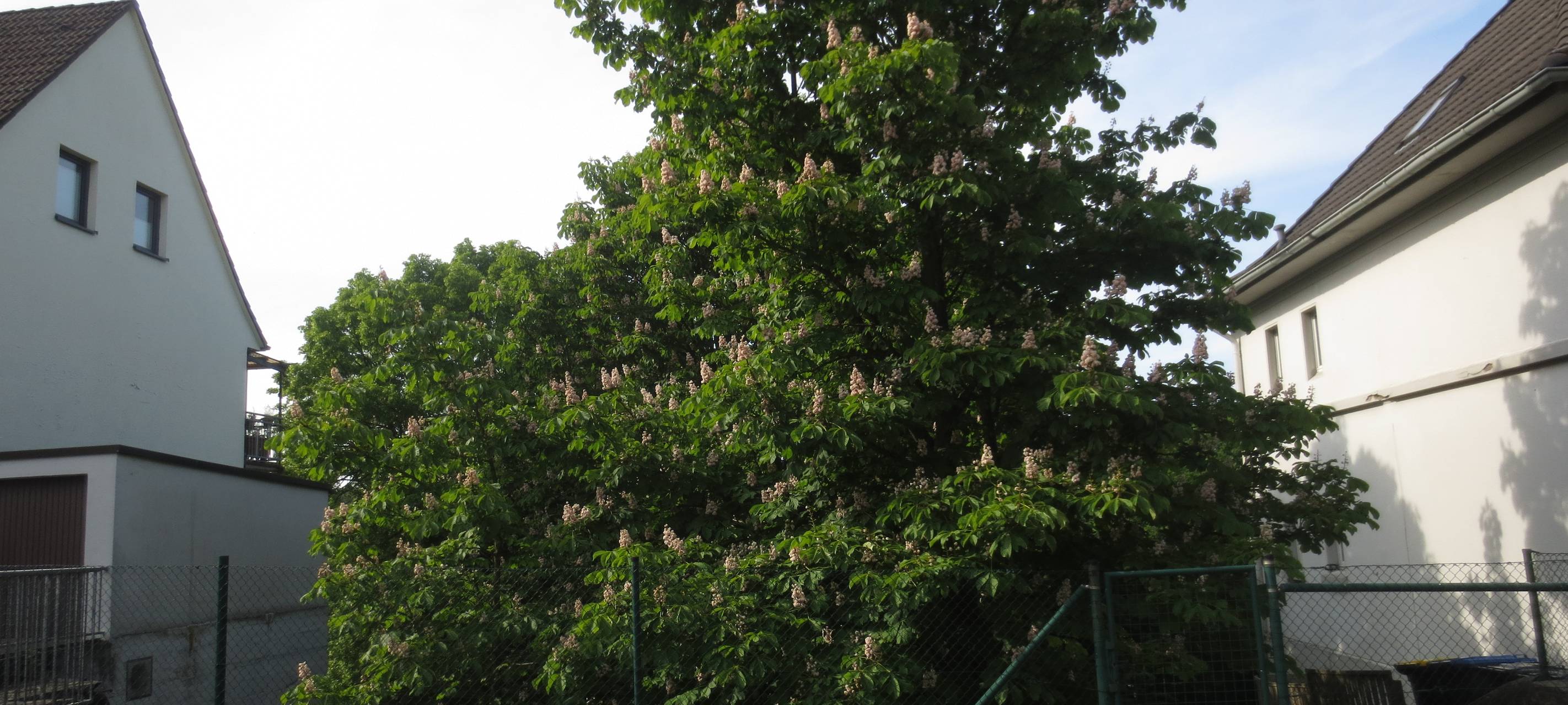 Solingen erinnert an den 30. Jahrestag des Brandanschlags