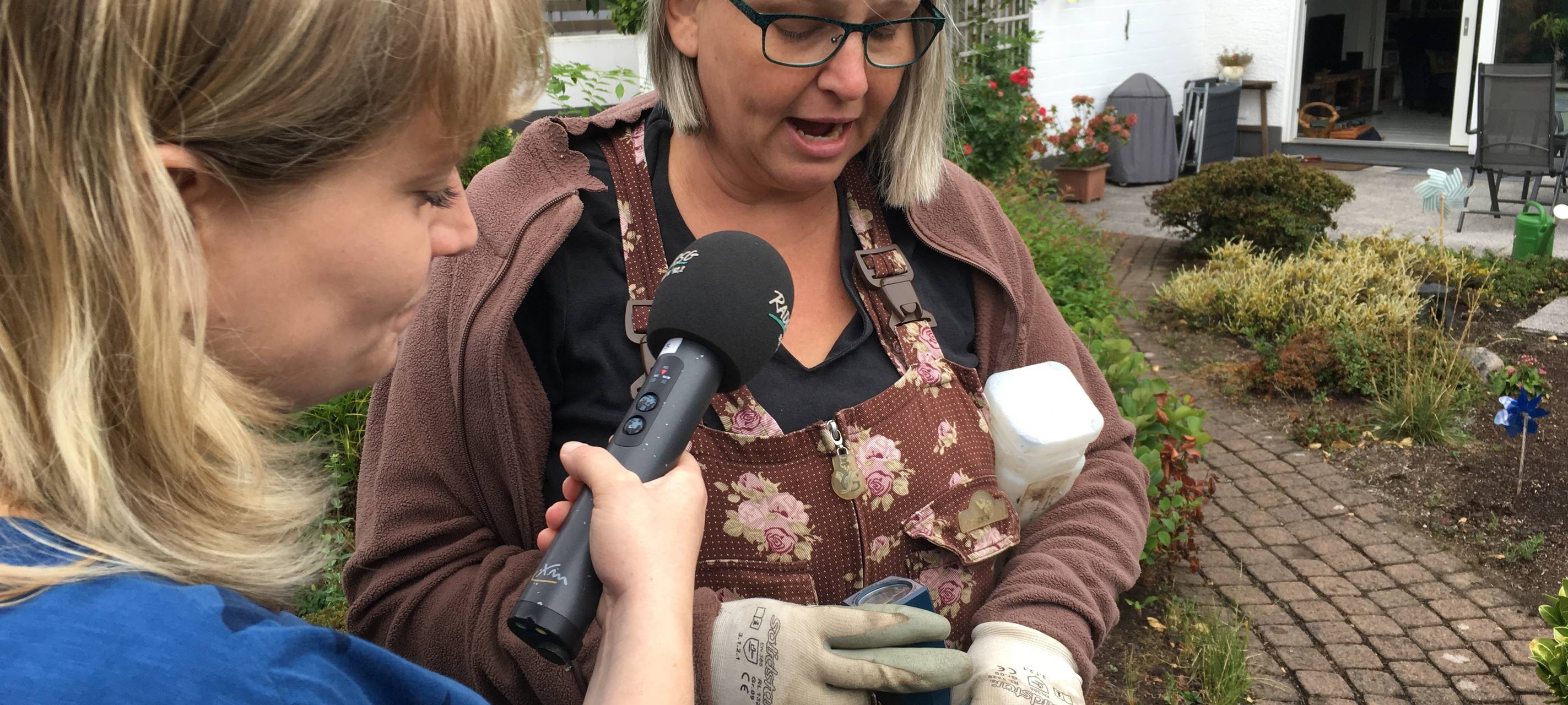 Richtig gärtnern Staudenbeet lernen