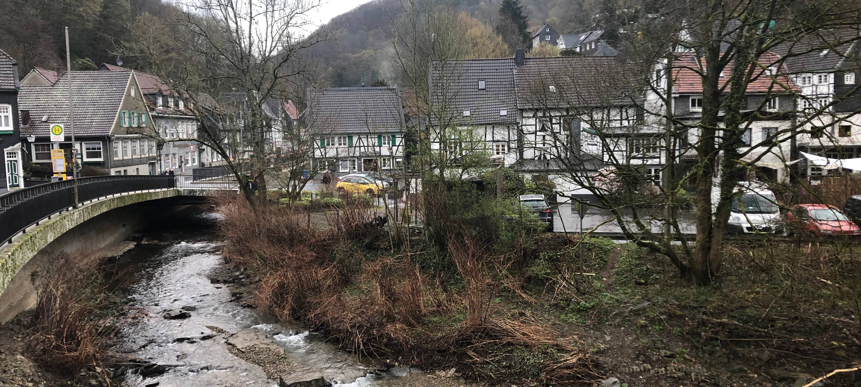 Bürgerbeteiligung: Wupperinsel verschönern