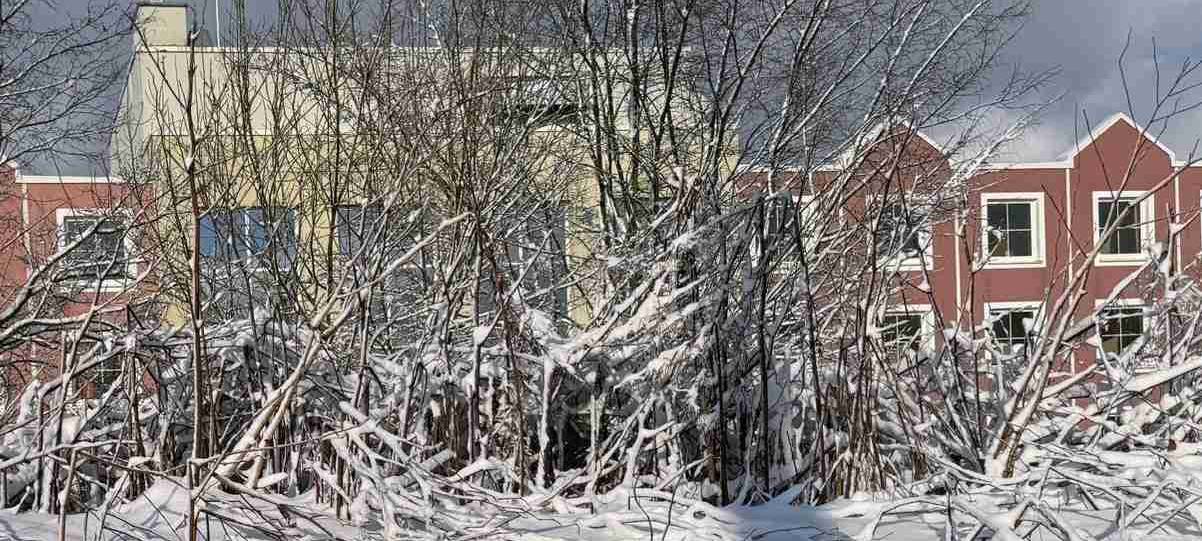 Erste Geflüchtete ziehen in ehemaliges Dorint-Hotel