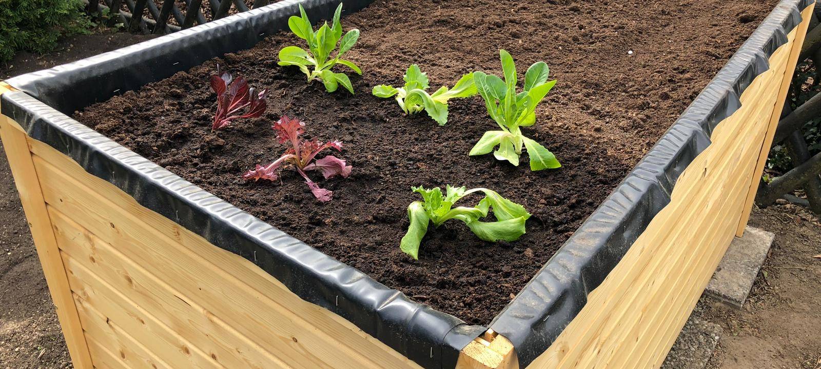 Das Hochbeet