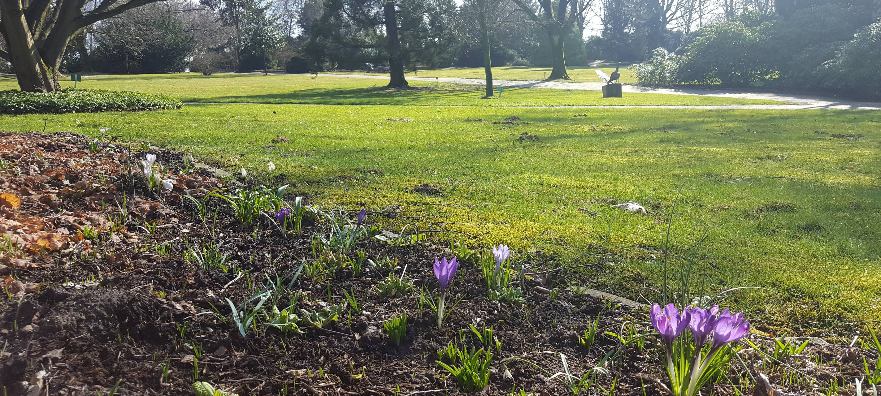 Trotz Coronakrise - Parks öffnen wieder
