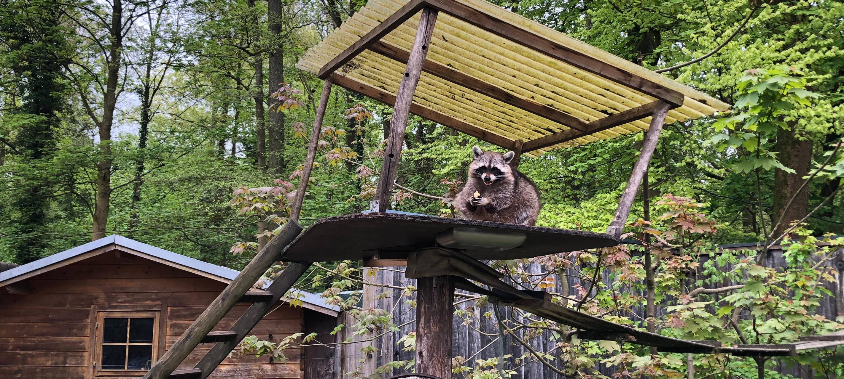 Solinger Vogelpark freut sich über "Weihnachtswunder"