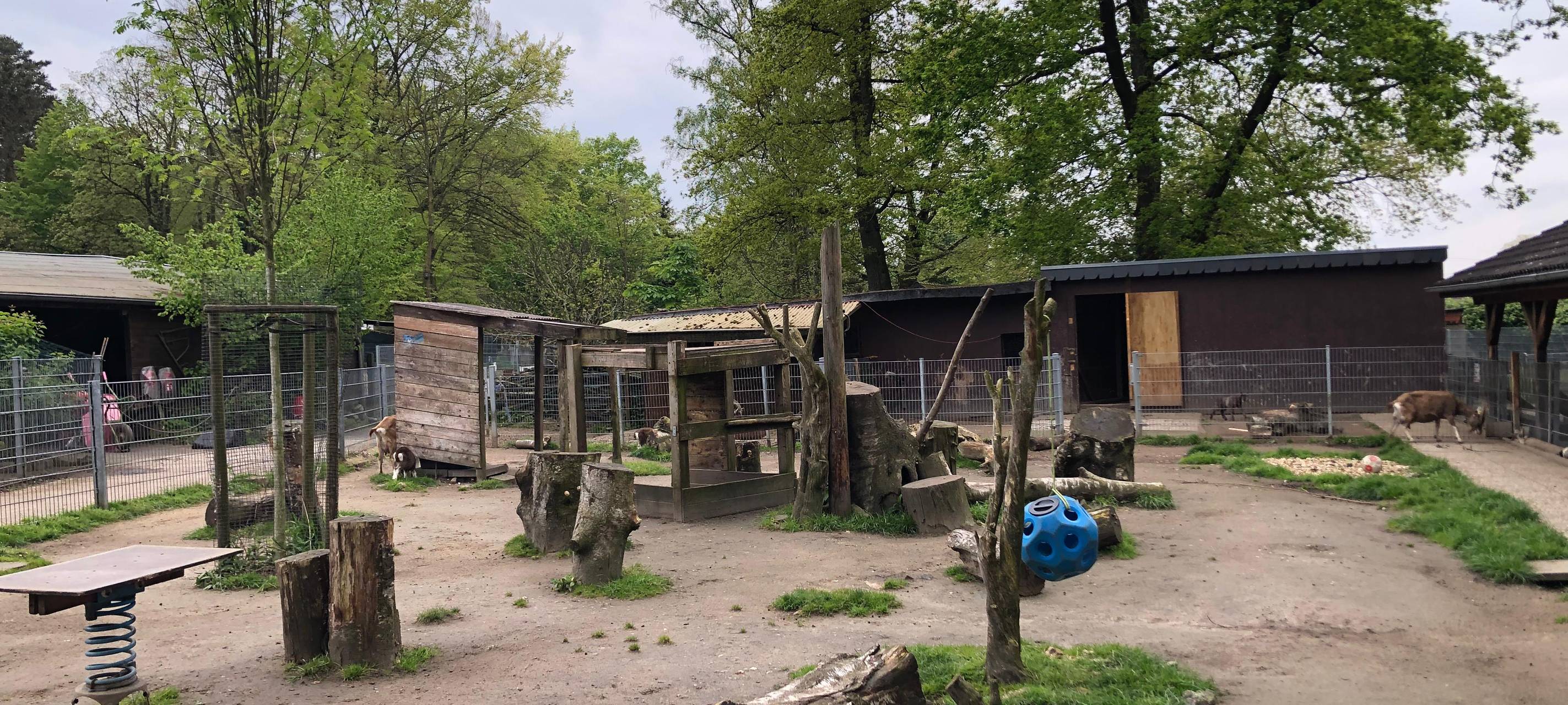 Solinger Vogelpark vor kurz dem Aus? - 30.000 Euro fehlen