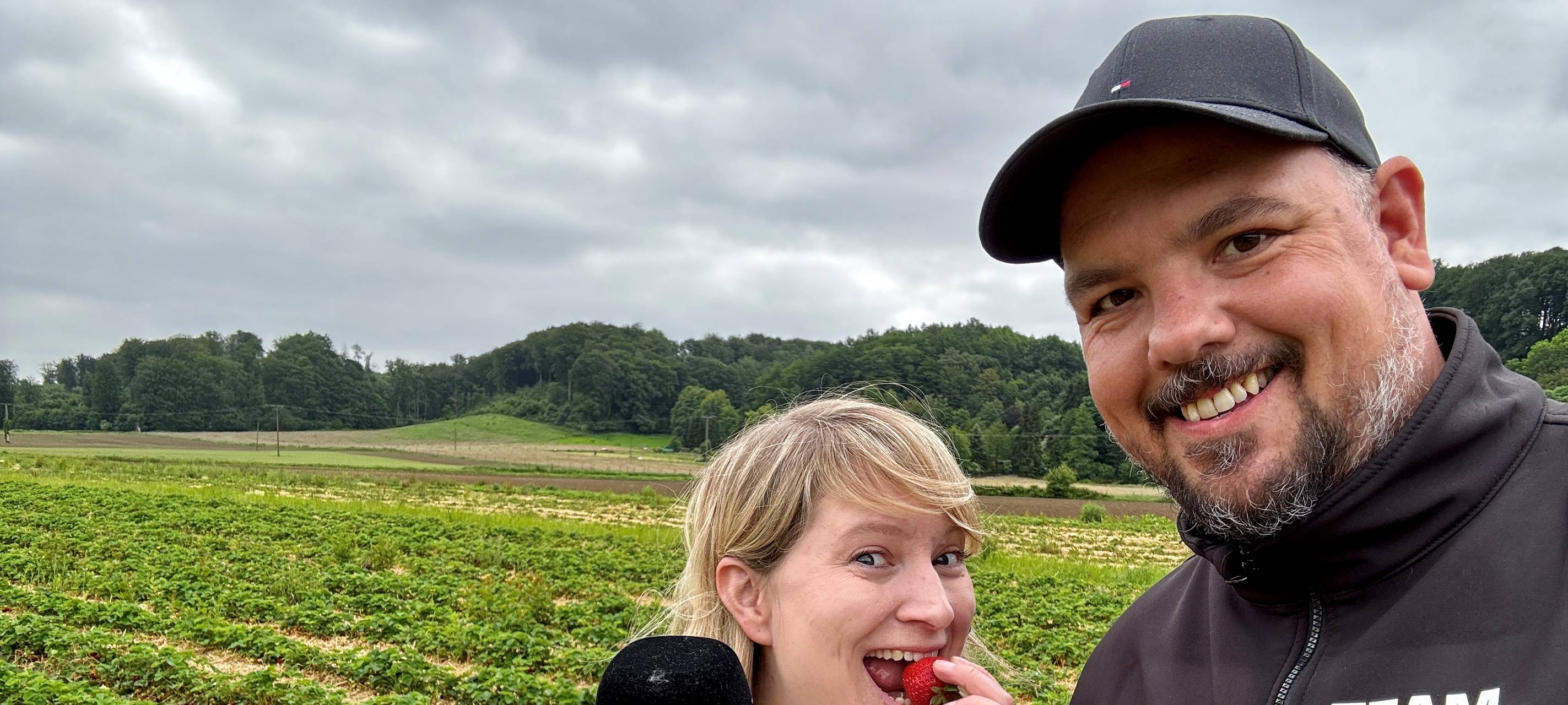Clara und Micha pflücken Erdbeeren