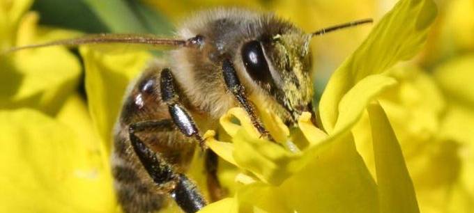 Tipps für Donnerstag, den 2. März