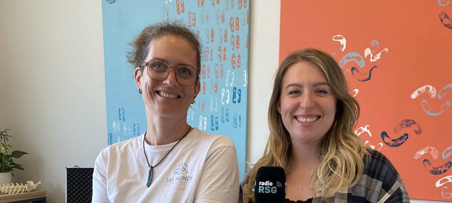 Akupunktur für Hunde?