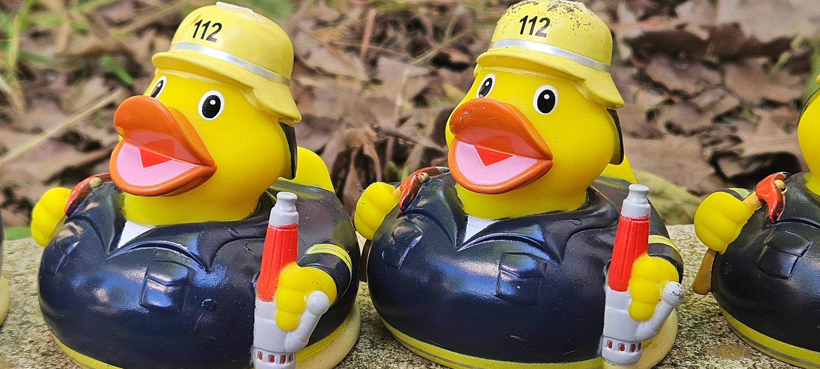 Tipps für das Wochenende vom 27. - 29. September