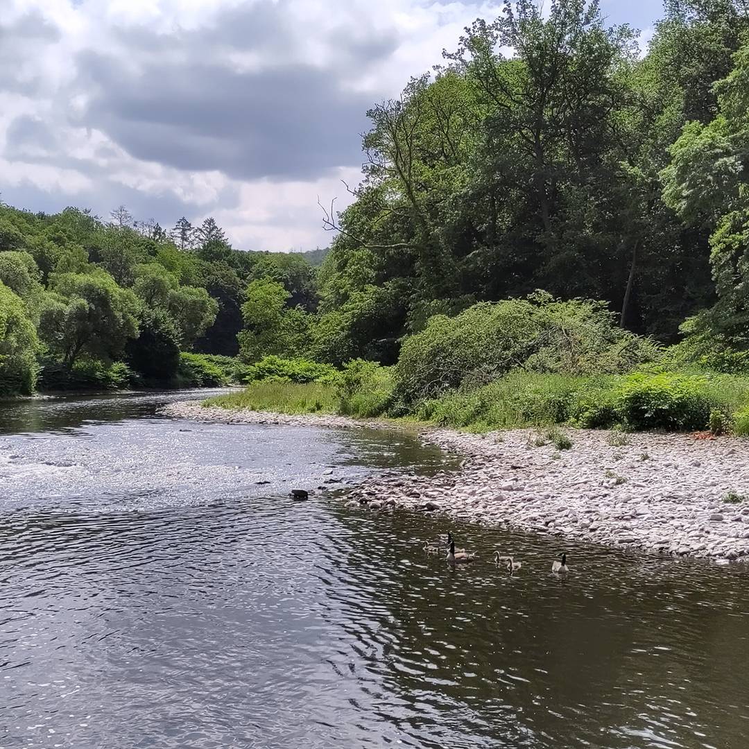 Ein Drittel der Wupper wieder im natürlichen Zustand Radio RSG