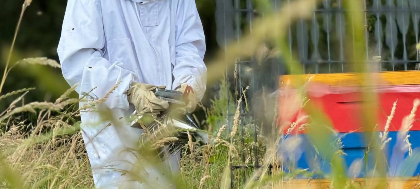 Luis (13) ist Solingens jüngster Imker