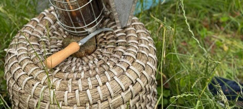 Luis (13) ist Solingens jüngster Imker