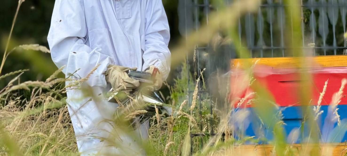 Luis (13) ist Solingens jüngster Imker