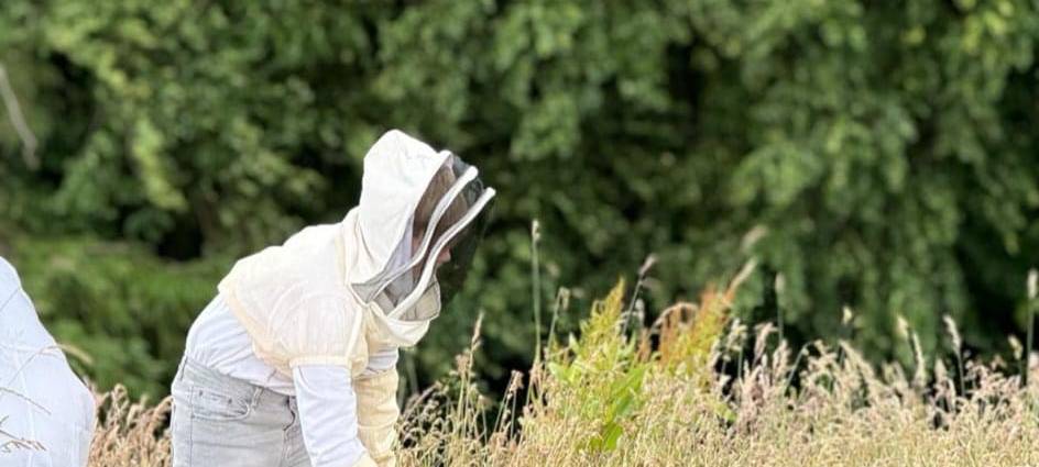 Luis (13) ist Solingens jüngster Imker