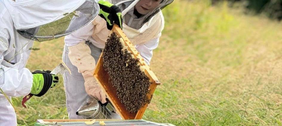 Luis (13) ist Solingens jüngster Imker