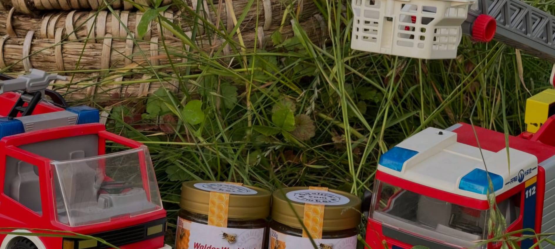 Luis (13) ist Solingens jüngster Imker