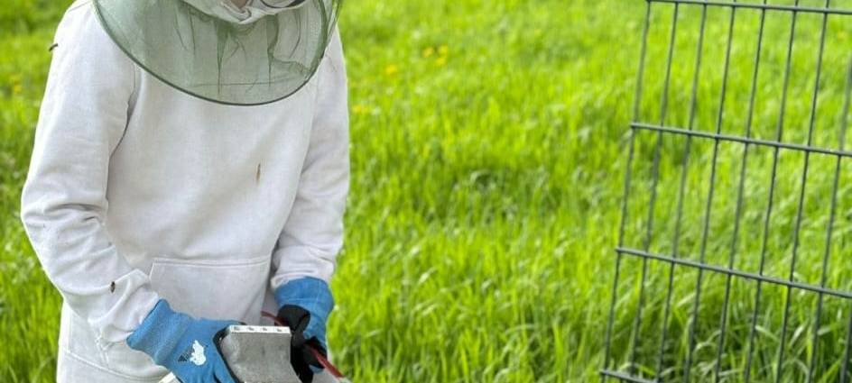 Luis (13) ist Solingens jüngster Imker