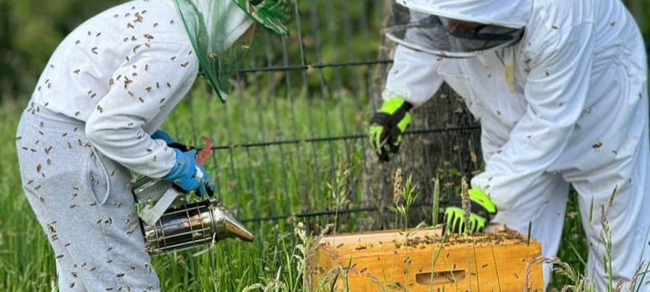 Luis (13) ist Solingens jüngster Imker