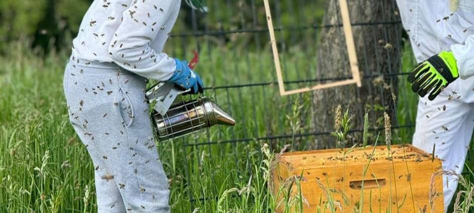 Luis (13) ist Solingens jüngster Imker