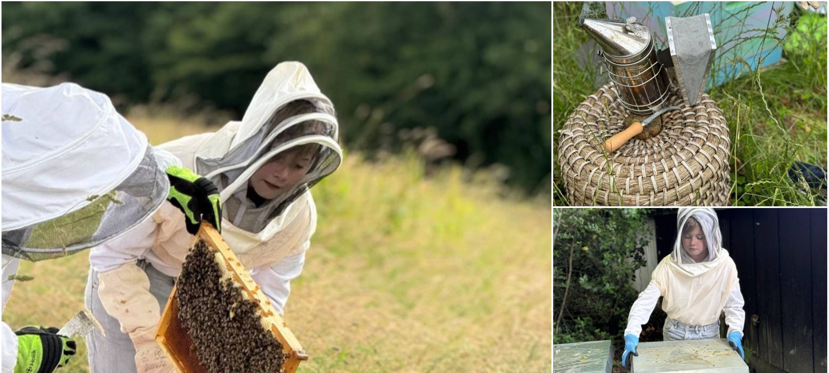 Luis (13) ist Solingens jüngster Imker