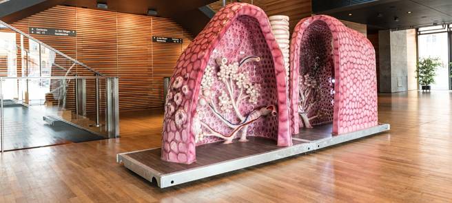 Kranke Lunge: Noch Luft nach oben