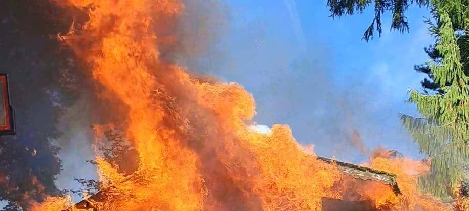 Gartenlaube hat in Remscheid-Lennep gebrannt