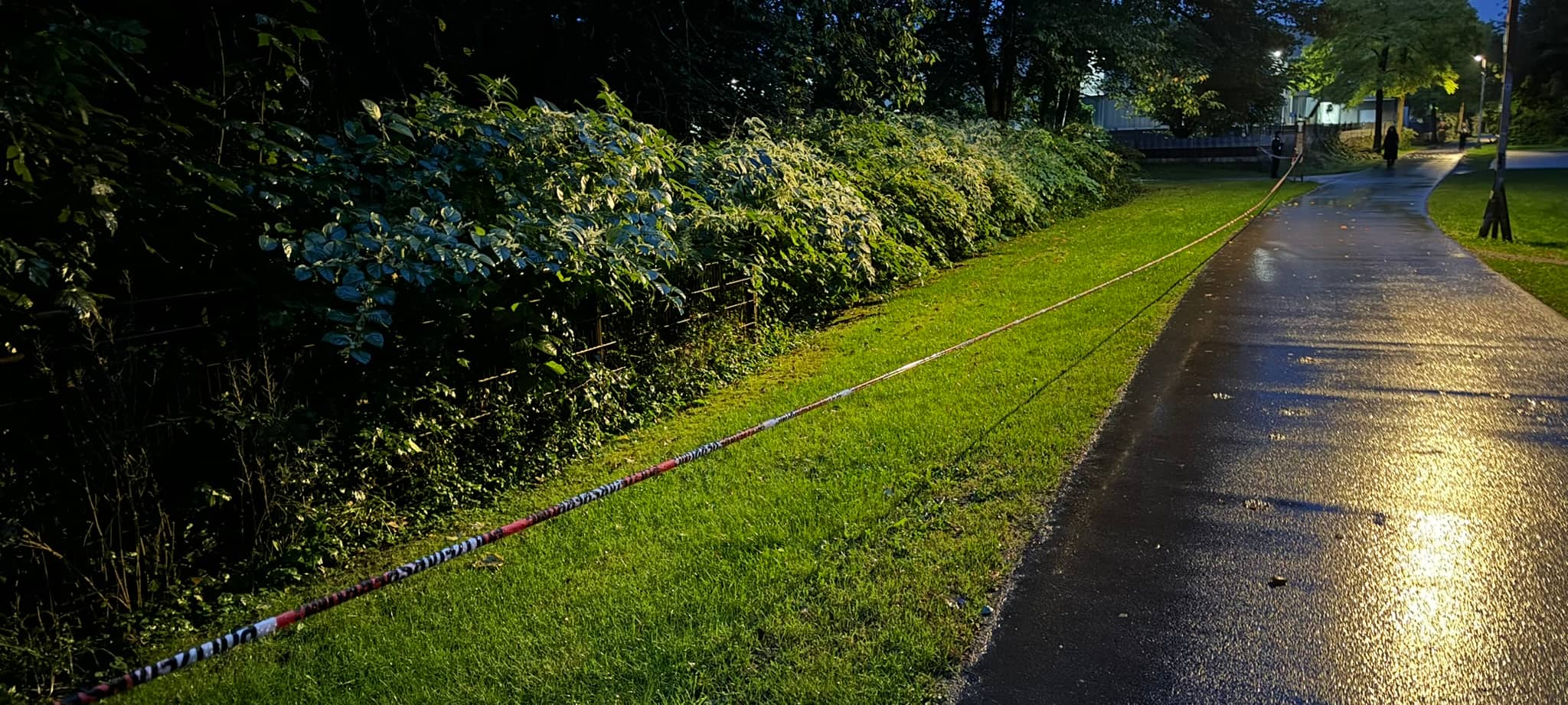 Spurensuche nach Messeranschlag? Polizei sperrt Waldstück an der Korkenziehertrasse in Solingen