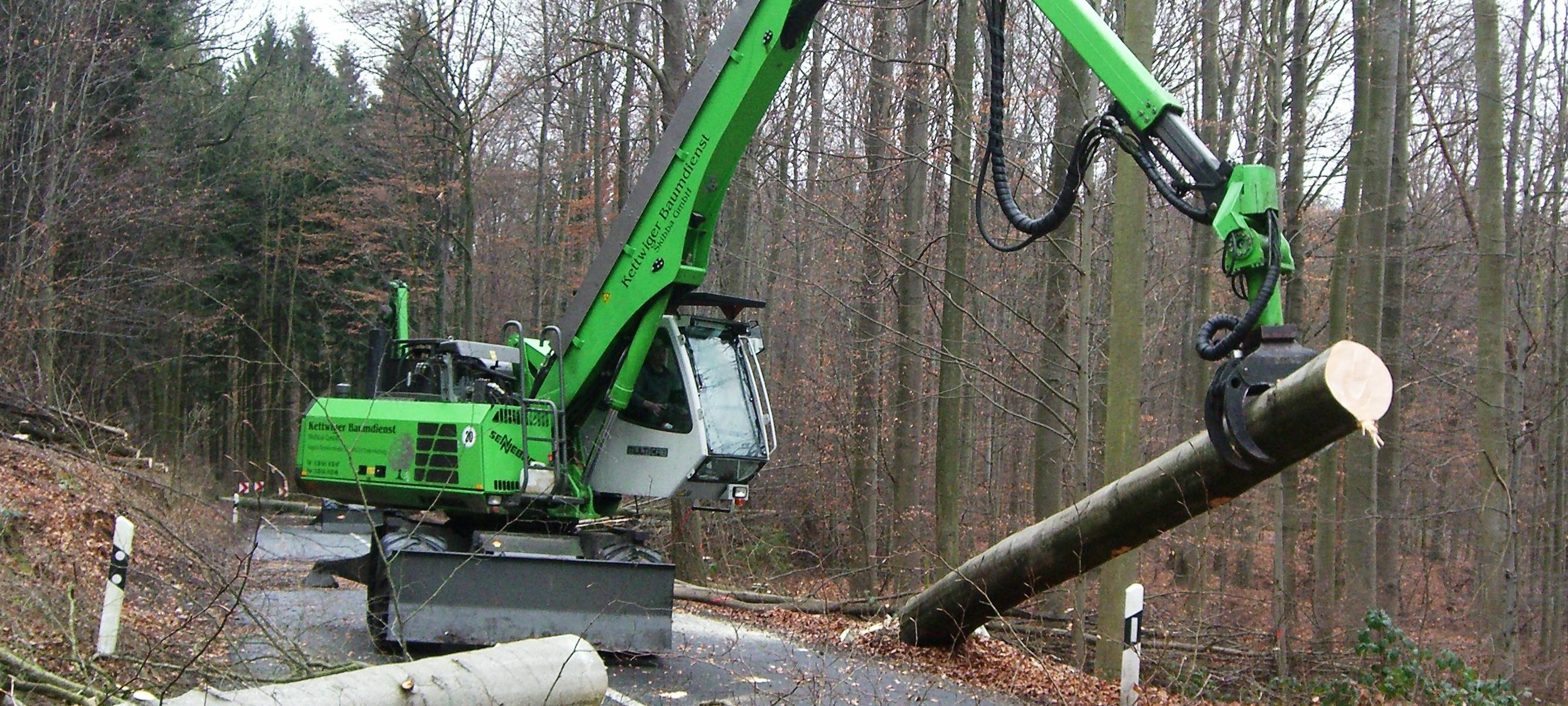 Hier werden in Solingen heute Bäume gefällt
