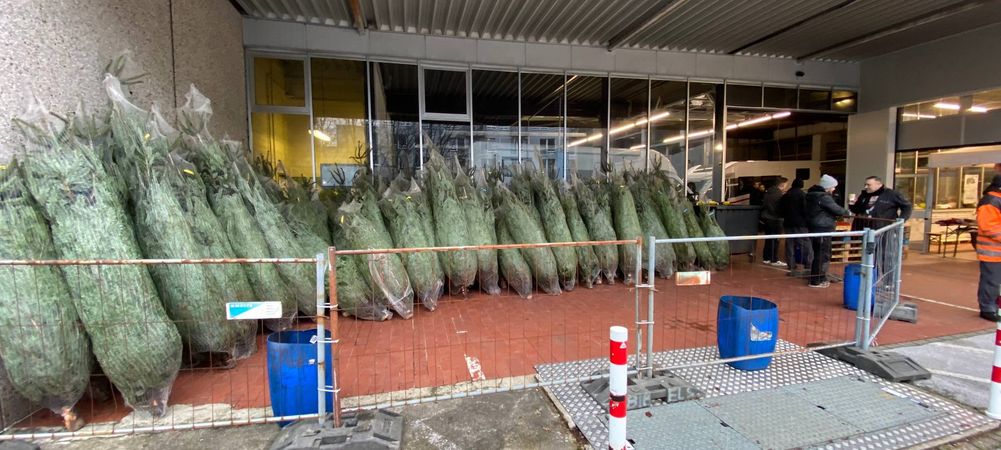 Die Lichtblicke-Weihnachtsbäume beim Autohaus Schönauen