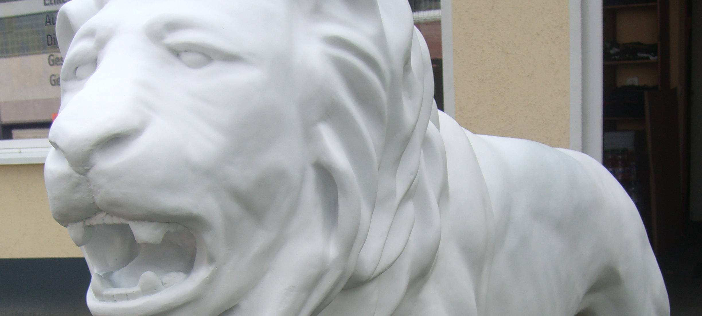 RSG-Tipps für Montag, 20. Mai