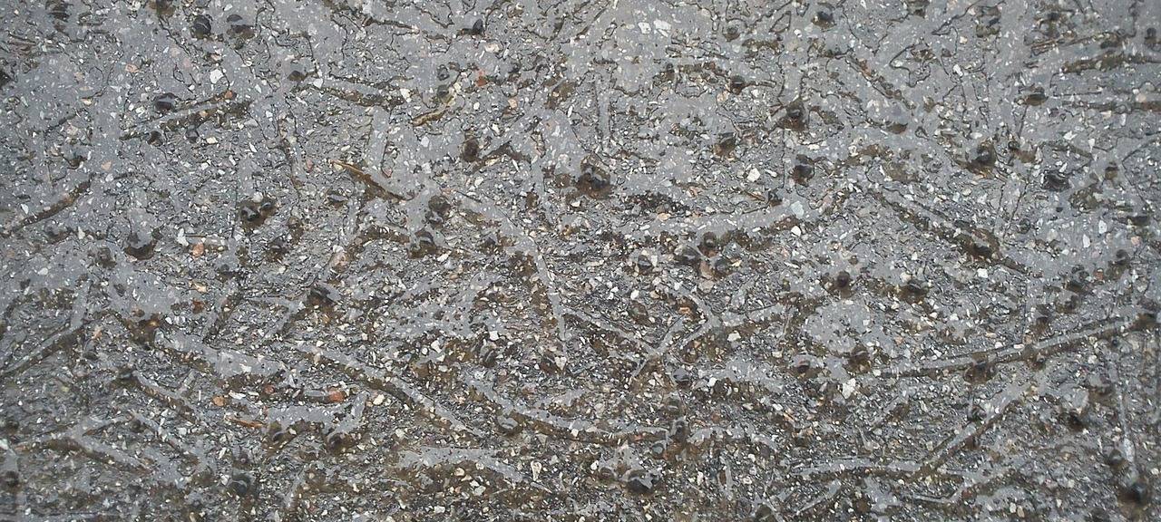 Regen sorgt für teils spiegelglatte Straßen im RSG-Land