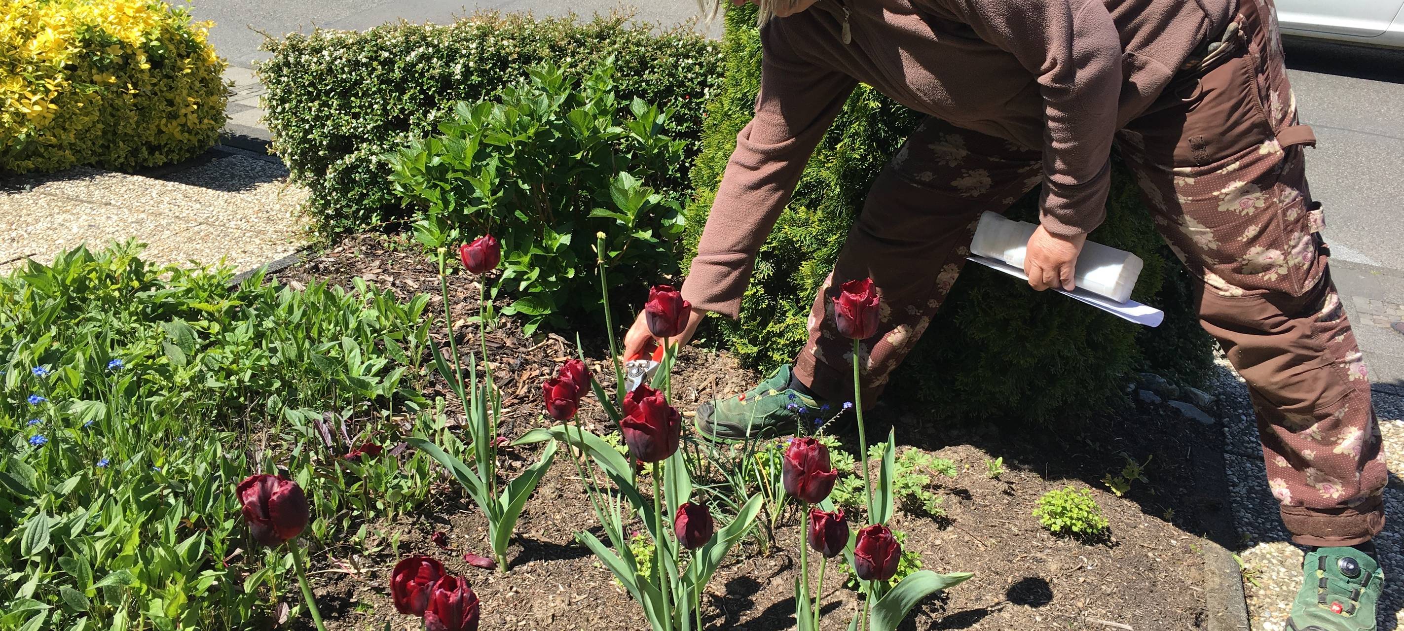 Aufräumen im Vorgarten