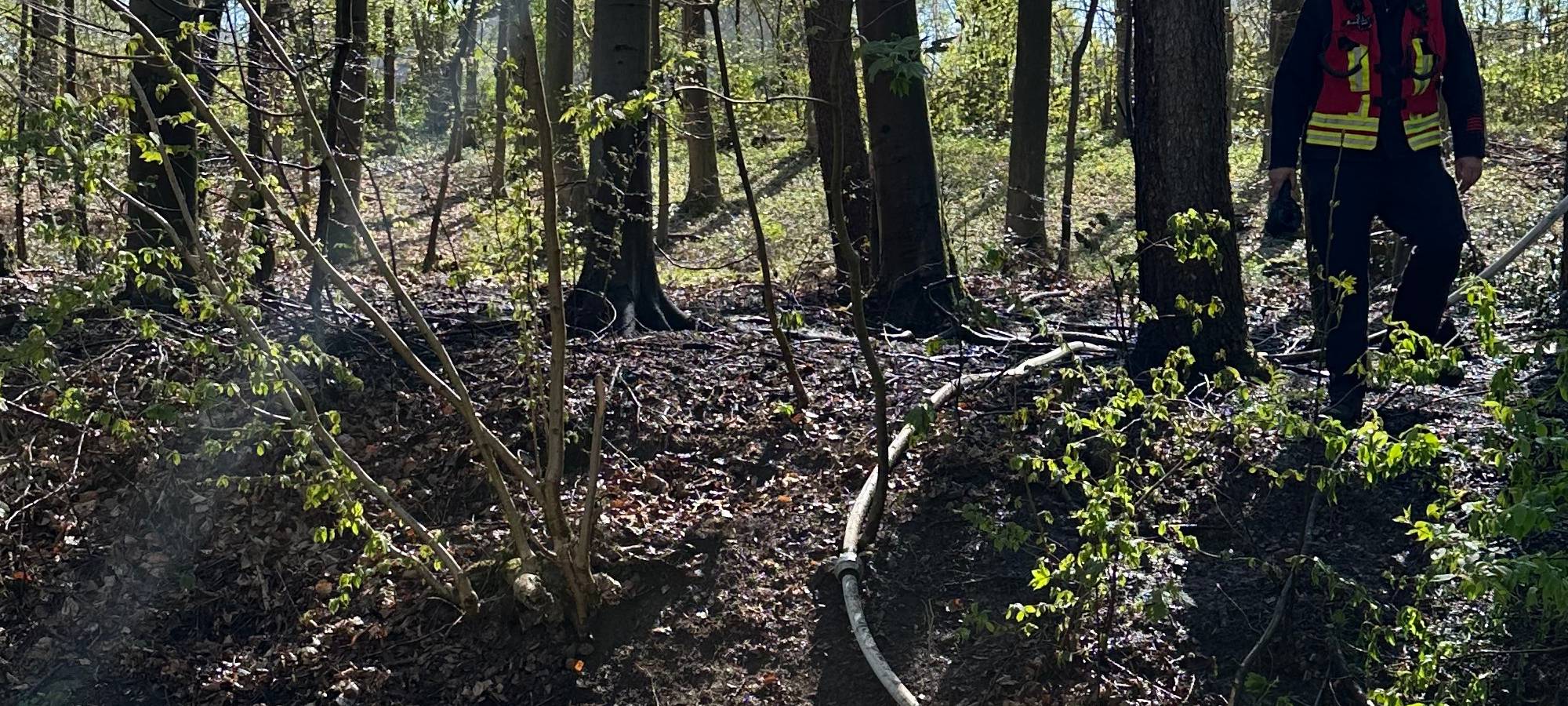 Polizei ermittelt zu Waldbränden in Remscheid