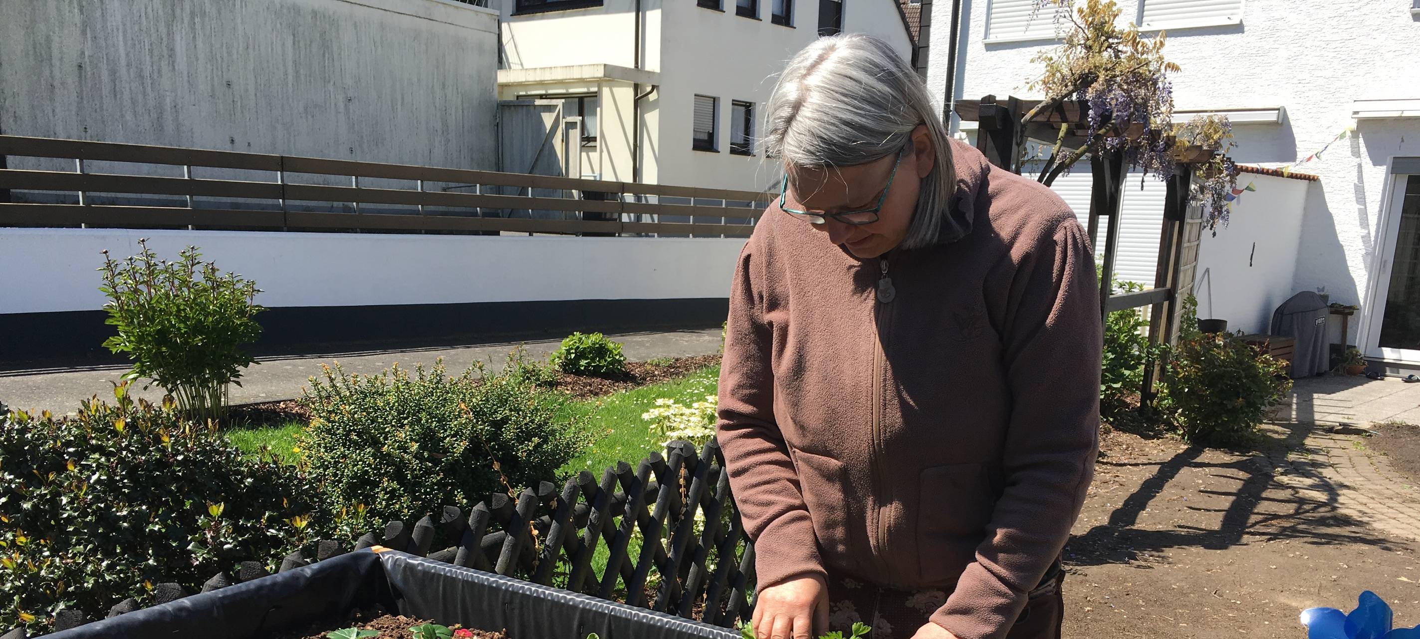 Fehler im Hochbeet