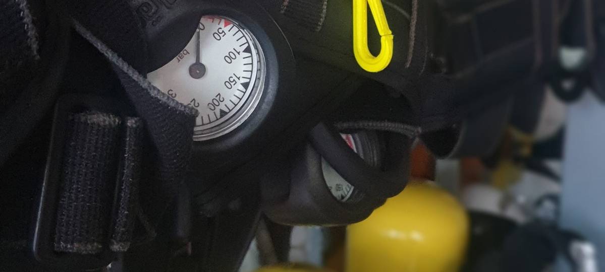 Drei Katzen bei Wohnungbrand in Remscheid gerettet