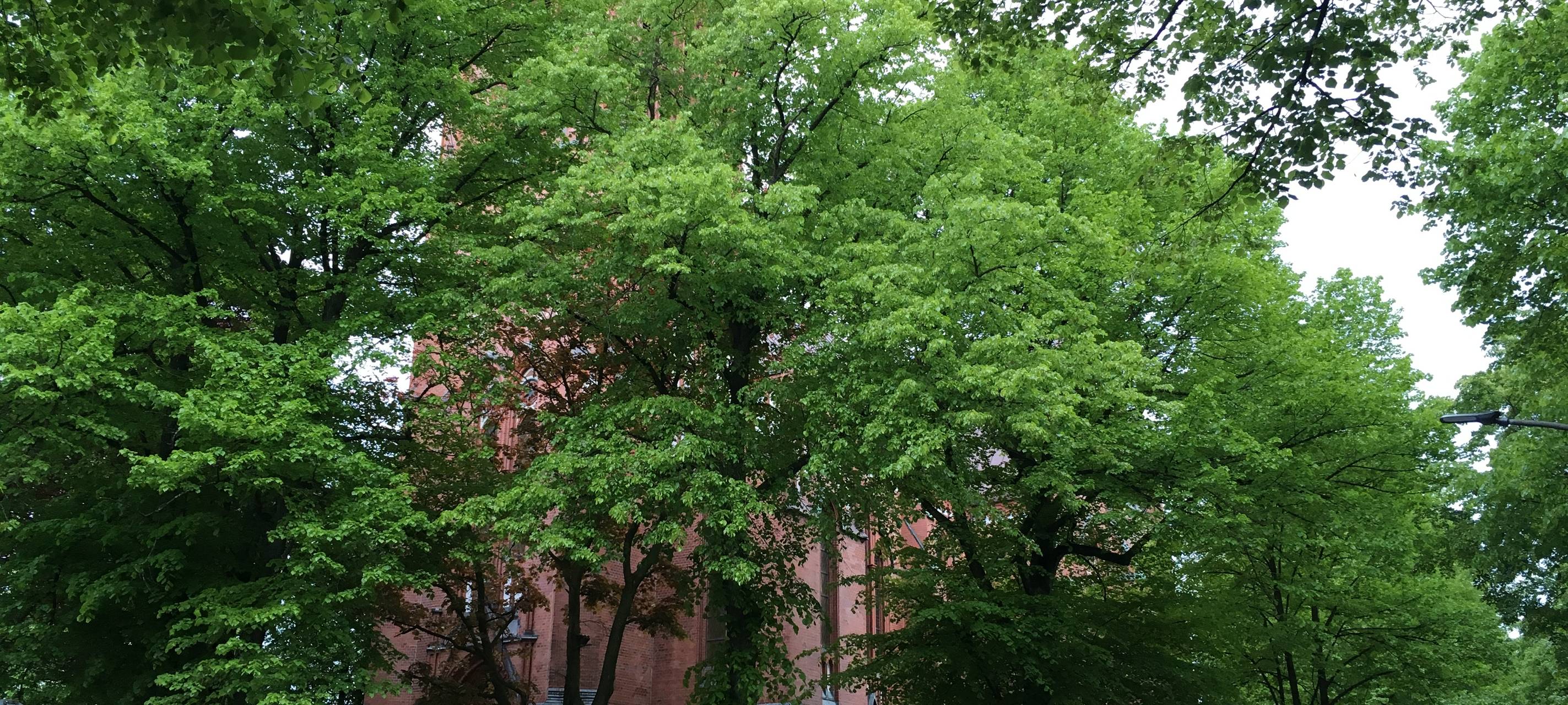 Festkonzert Lutherkirche