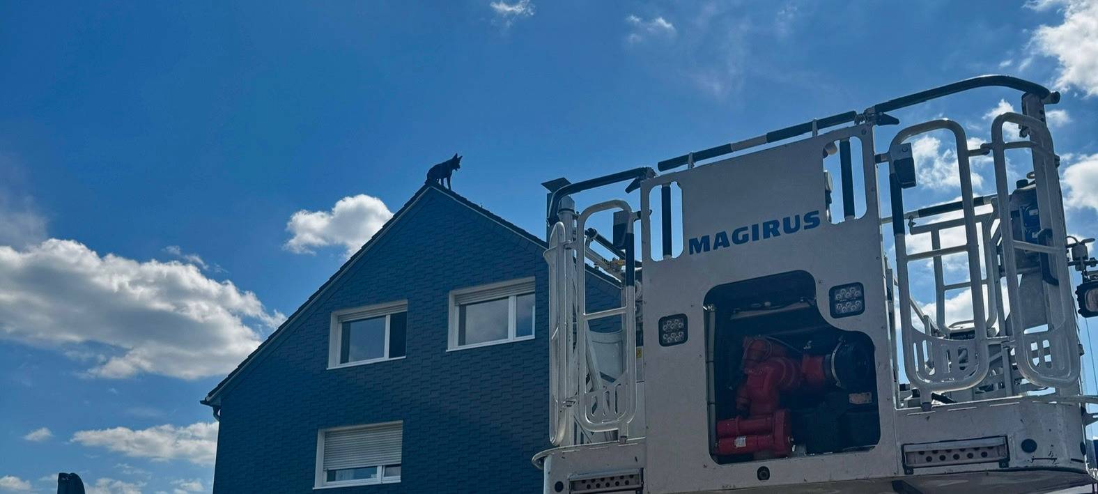 Hund auf Hausdach sorgt für ungewöhnlichen Feuerwehreinsatz in Remscheid