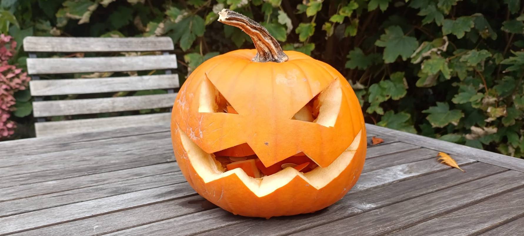 Tipps für die Woche vom 27. Oktober - 2. November