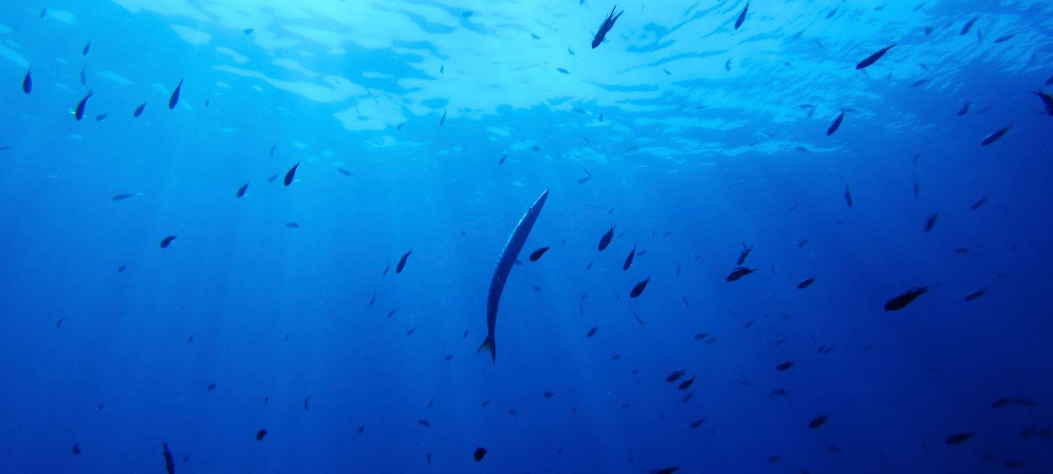 UN-Hochseeschutzabkommen