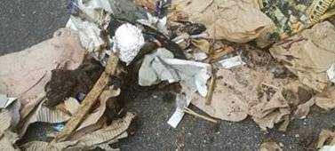 Kuckuck: Müll und Lärm machen weiter Probleme