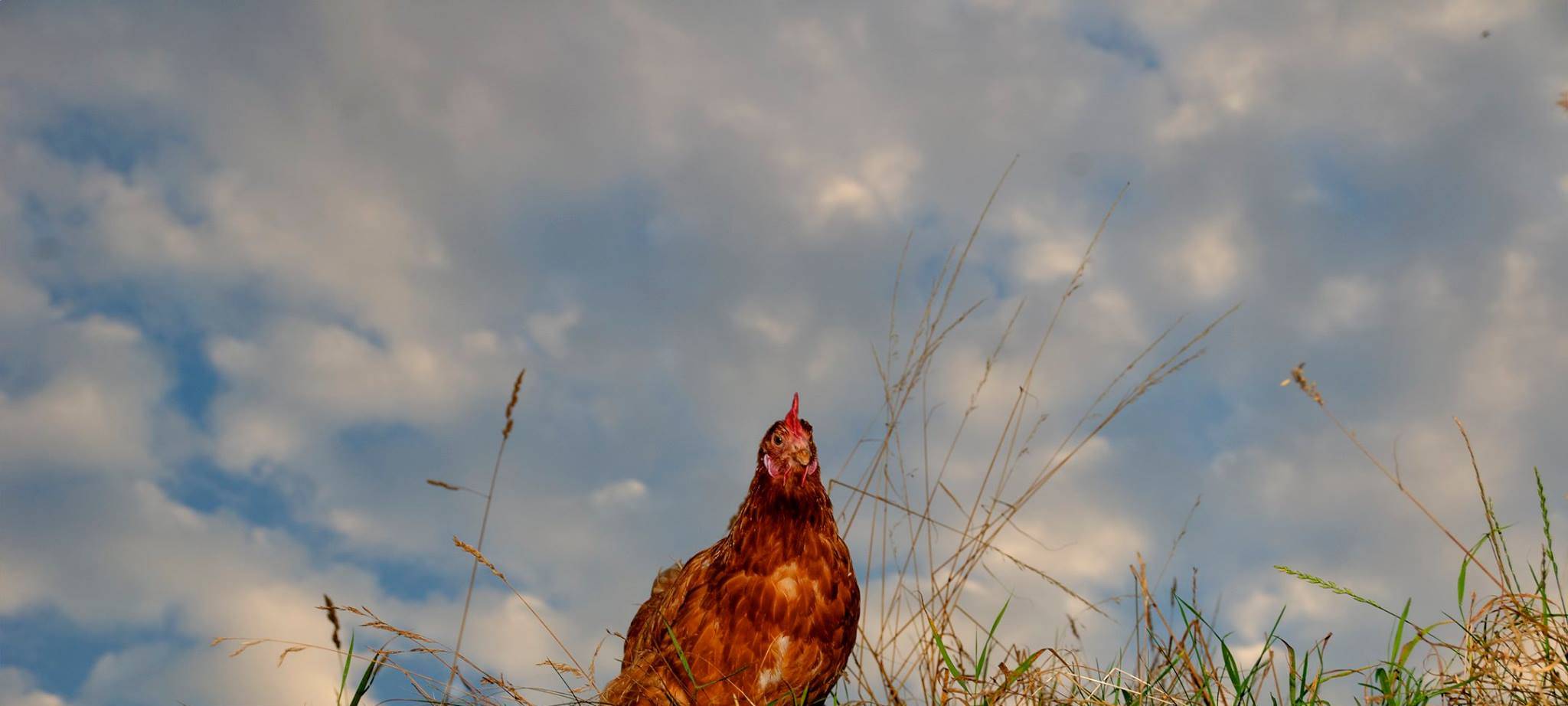 Lärm in der Nachbarschaft